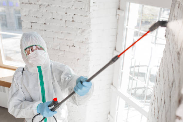 Best Residential Mold Remediation in Mazomanie, WI